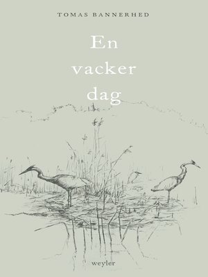 cover image of En vacker dag